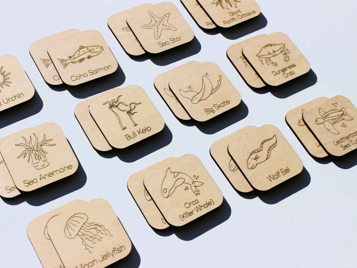 Marine Life of BC Matching Game | Wooden Ocean Animal Learning Game for Kids