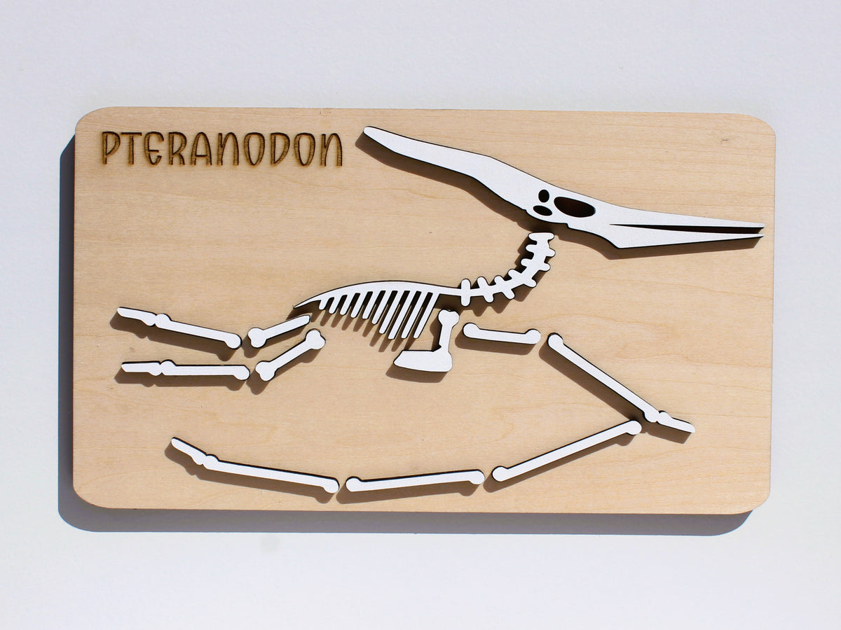 Pteranodon Dinosaur Fossil Puzzle | Hands-On STEM Flying Reptile Science Learning Toy for Kids
