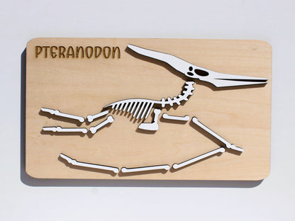 Pteranodon Dinosaur Fossil Puzzle | Hands-On STEM Flying Reptile Science Learning Toy for Kids