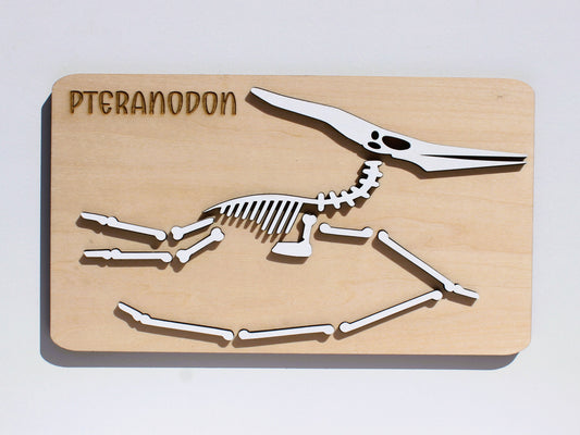 Pteranodon Dinosaur Fossil Puzzle | Hands-On STEM Flying Reptile Science Learning Toy for Kids