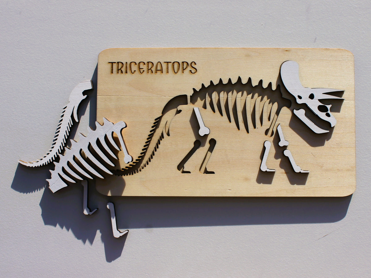 Triceratops Dinosaur Fossil Puzzle | Hands-On STEM Science & Prehistoric Learning Toy for Kids