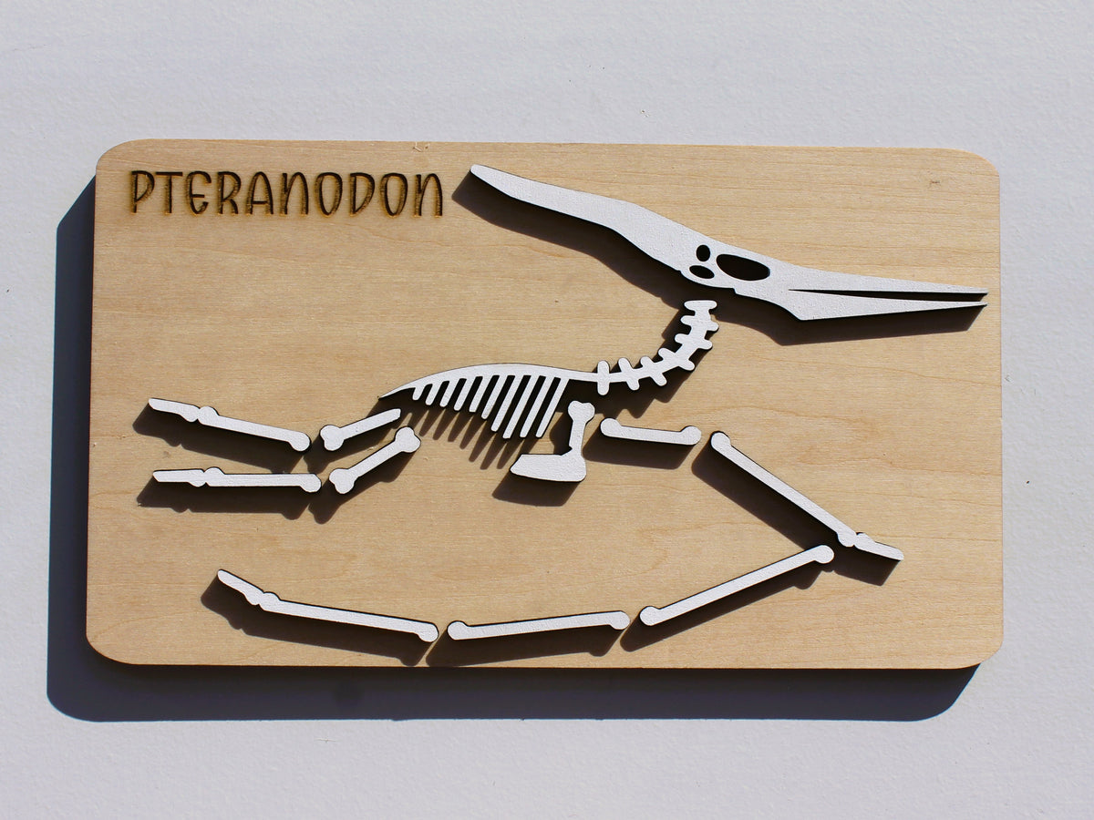 Pteranodon Dinosaur Fossil Puzzle | Hands-On STEM Flying Reptile Science Learning Toy for Kids