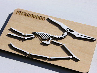 Pteranodon Dinosaur Fossil Puzzle | Hands-On STEM Flying Reptile Science Learning Toy for Kids