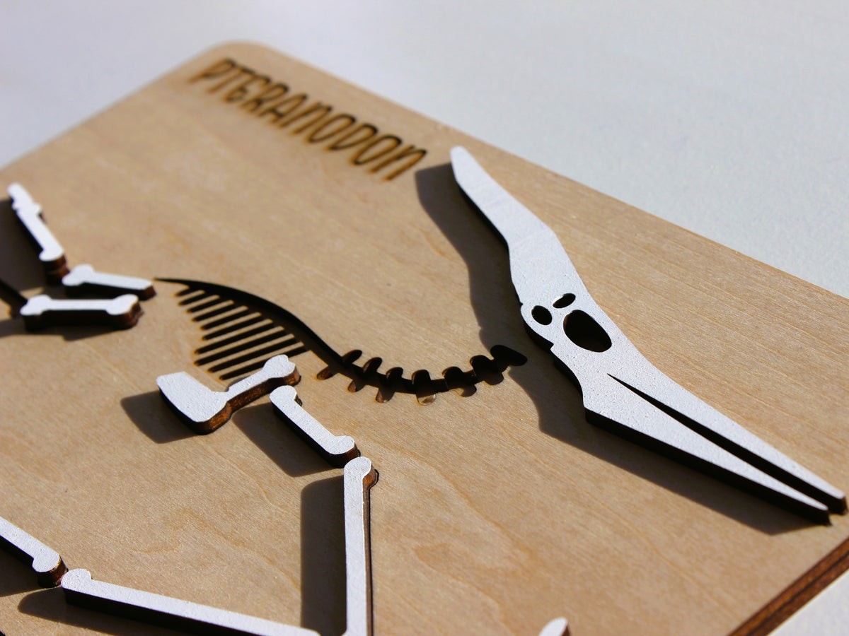 Pteranodon Dinosaur Fossil Puzzle | Hands-On STEM Flying Reptile Science Learning Toy for Kids