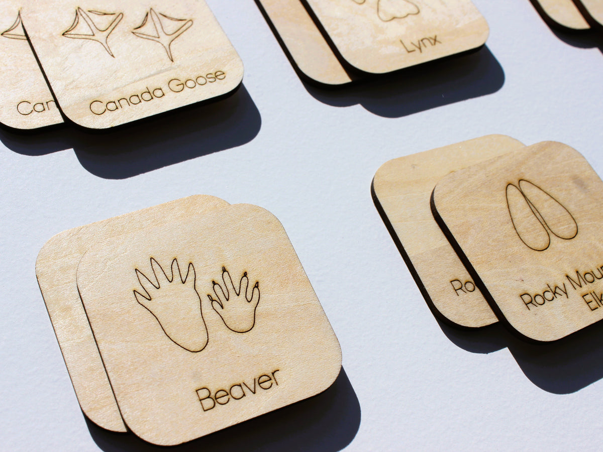 Animal Footprints of BC Matching Game | Wooden Animal Tracks & Wildlife Learning Game for Kids