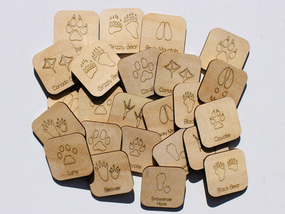 Animal Footprints of BC Matching Game | Wooden Animal Tracks & Wildlife Learning Game for Kids