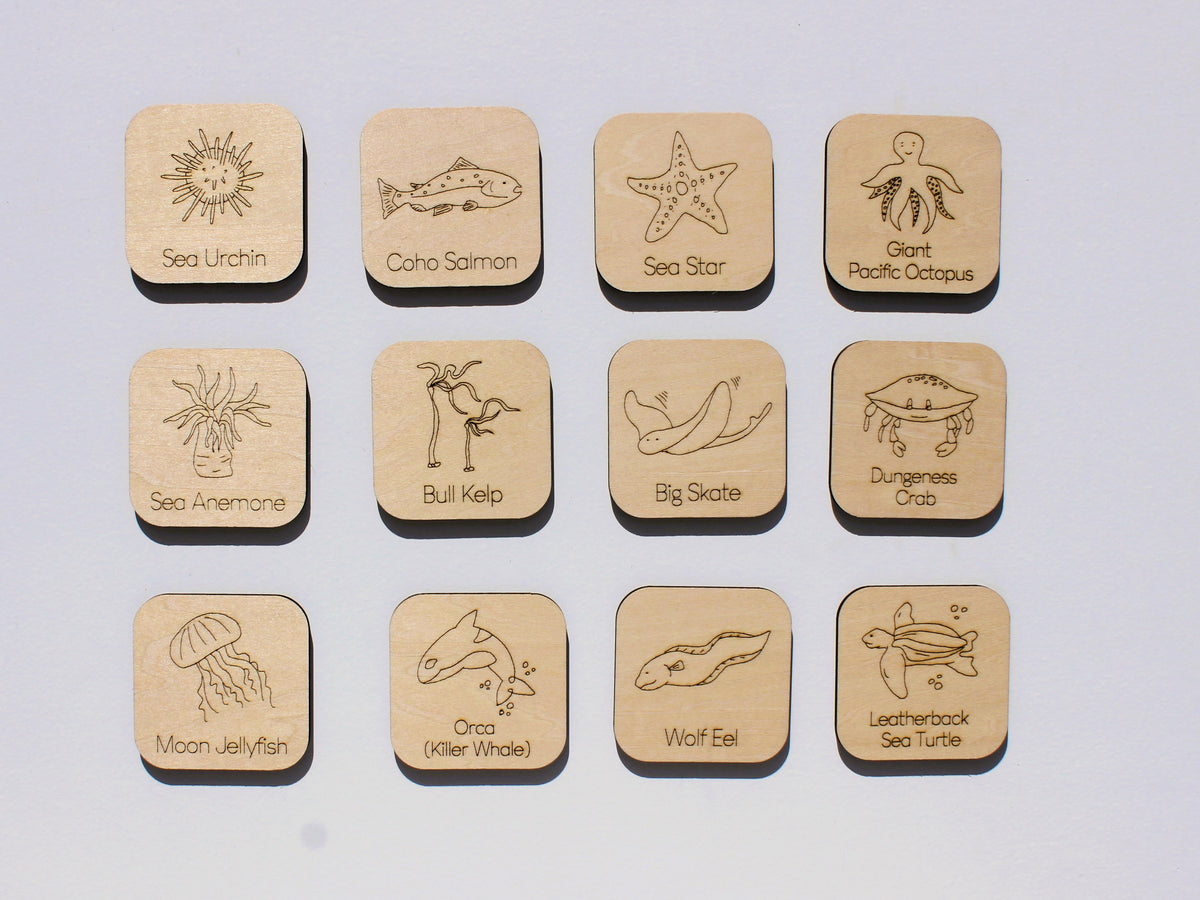 Marine Life of BC Matching Game | Wooden Ocean Animal Learning Game for Kids