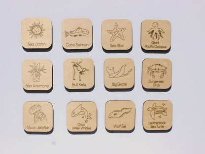 Marine Life of BC Matching Game | Wooden Ocean Animal Learning Game for Kids