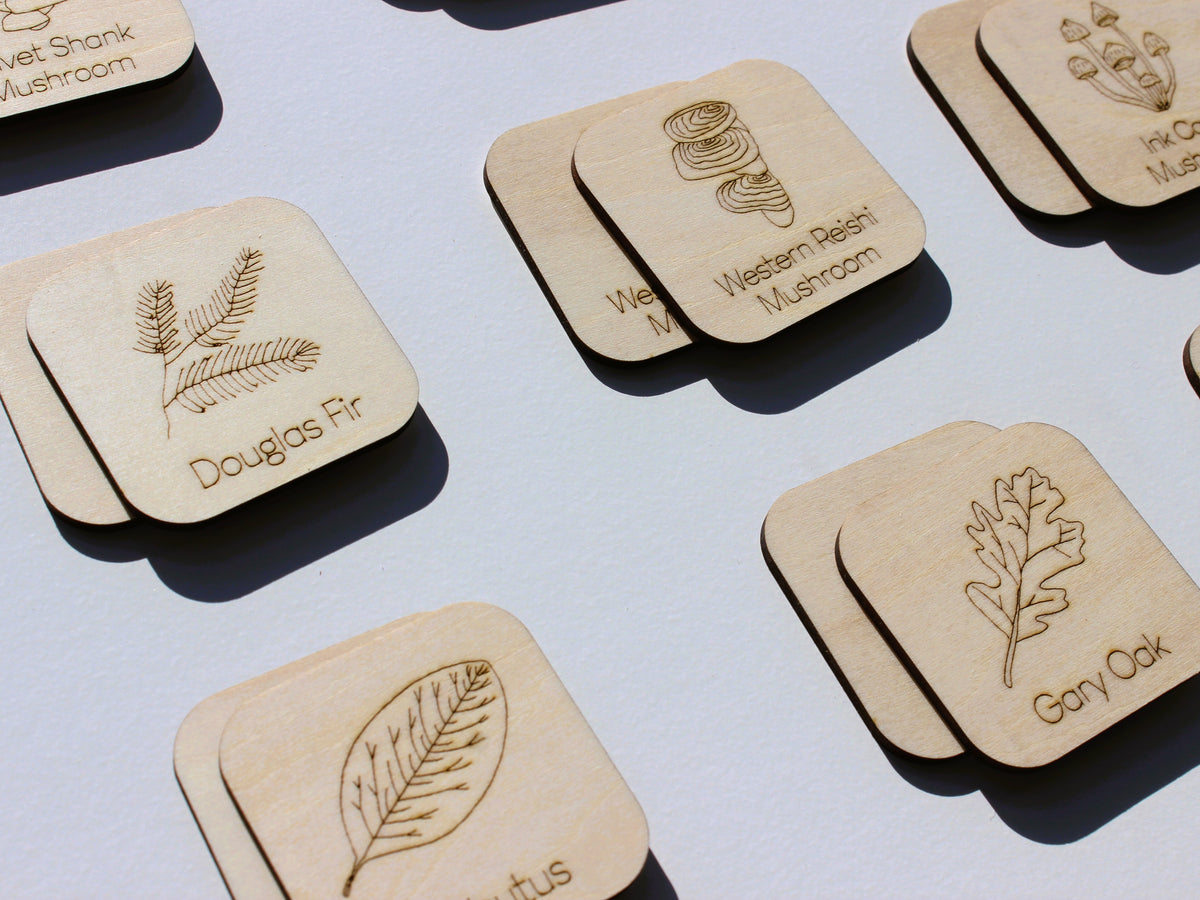Plants & Fungi of BC Matching Game | Wooden Nature & Plant Learning Game for Kids