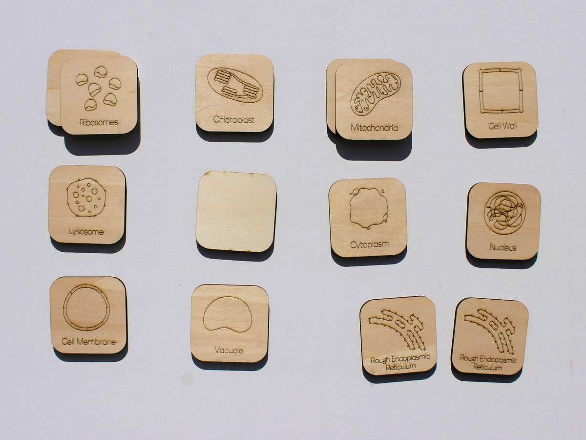 Parts of a Cell Matching Game | Wooden Cell Organelles & Biology Learning Game