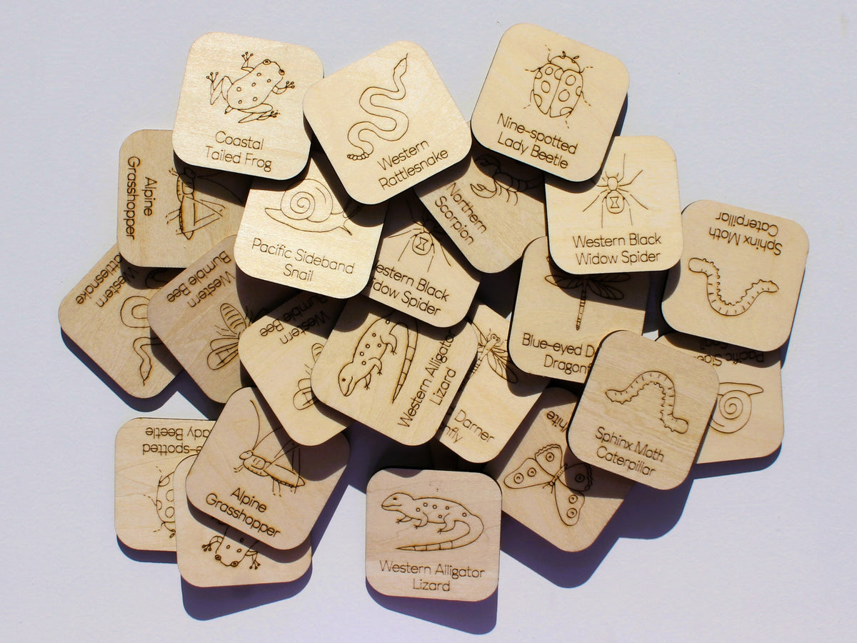 Creepy Crawlies of BC Matching Game | Wooden Insects, Spiders & Wildlife Learning Game for Kids