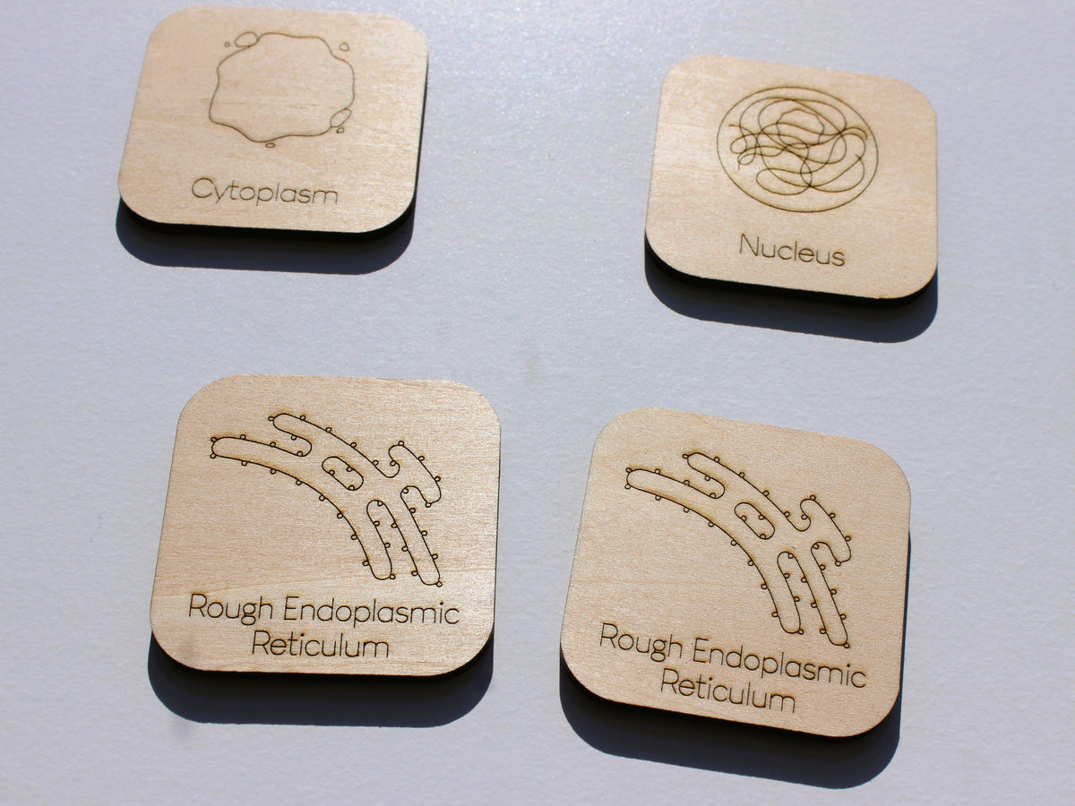 Parts of a Cell Matching Game | Wooden Cell Organelles & Biology Learning Game