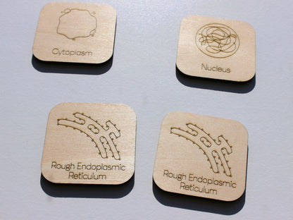 Parts of a Cell Matching Game | Wooden Cell Organelles & Biology Learning Game