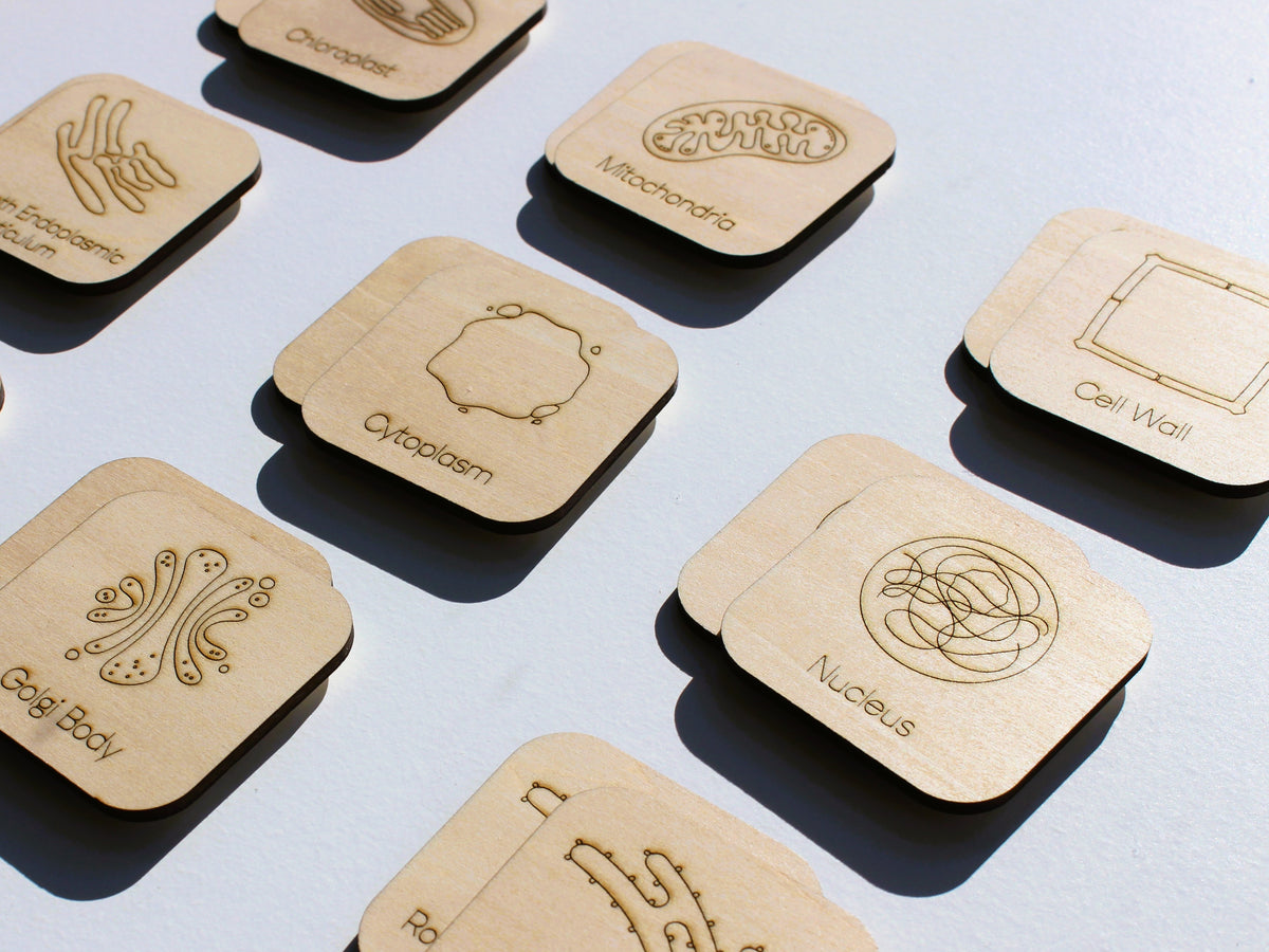 Parts of a Cell Matching Game | Wooden Cell Organelles & Biology Learning Game