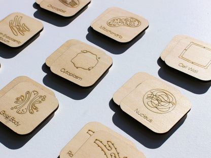 Parts of a Cell Matching Game | Wooden Cell Organelles & Biology Learning Game