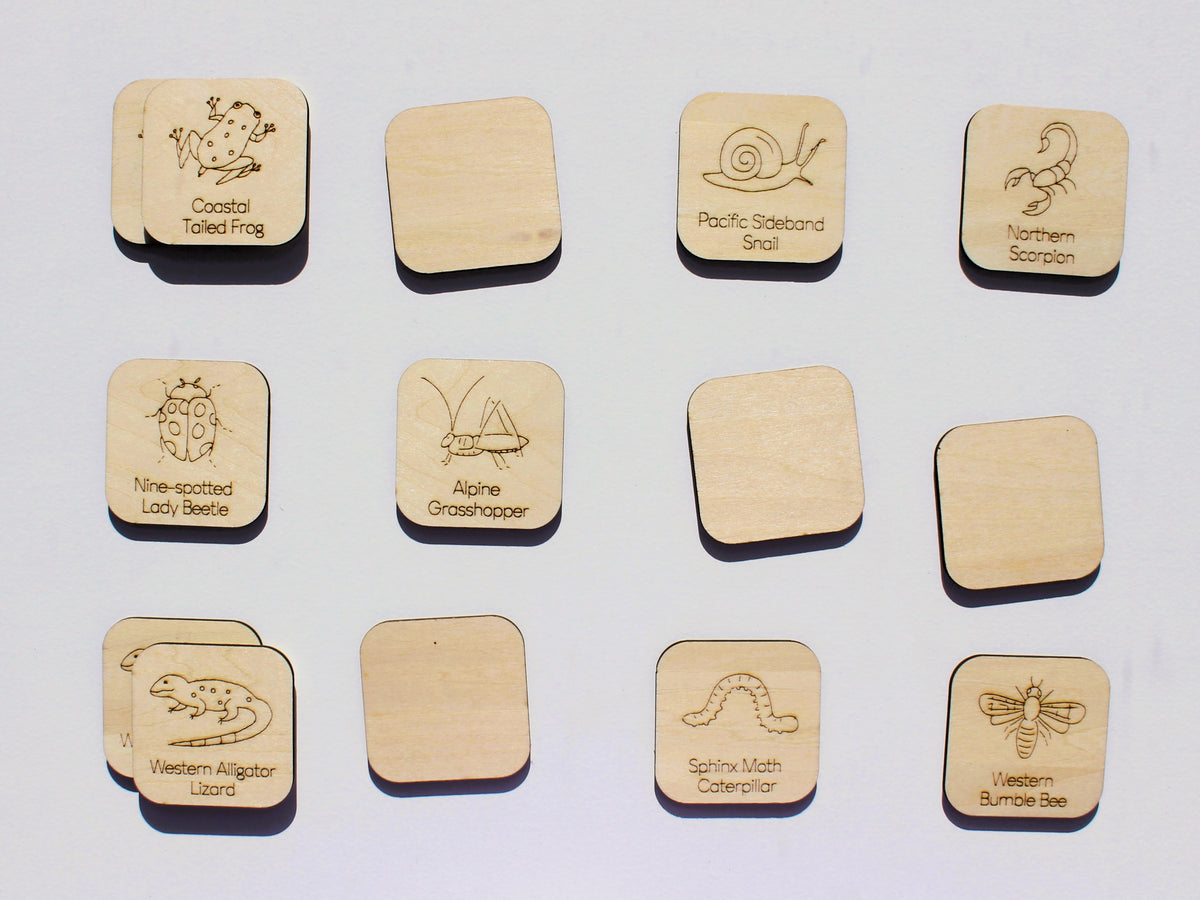 Creepy Crawlies of BC Matching Game | Wooden Insects, Spiders & Wildlife Learning Game for Kids