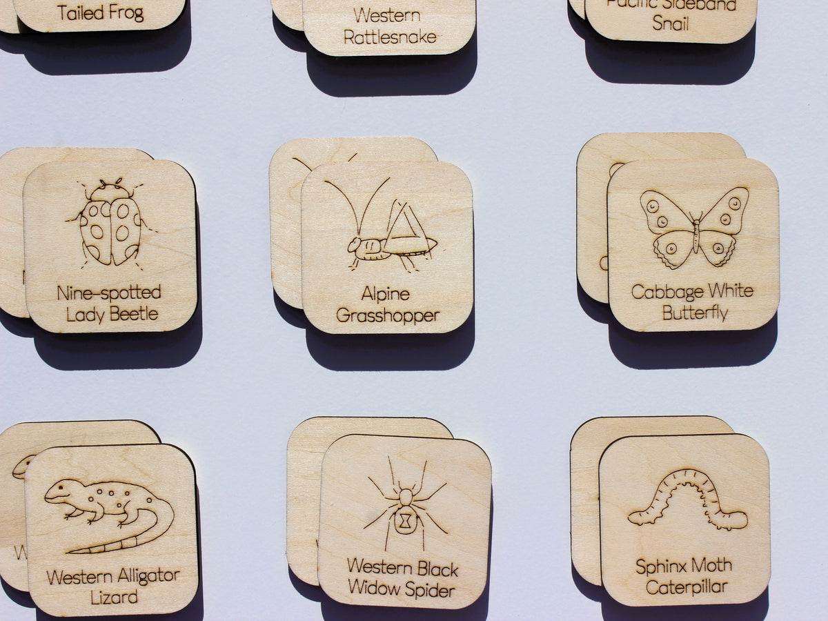 Creepy Crawlies of BC Matching Game | Wooden Insects, Spiders & Wildlife Learning Game for Kids