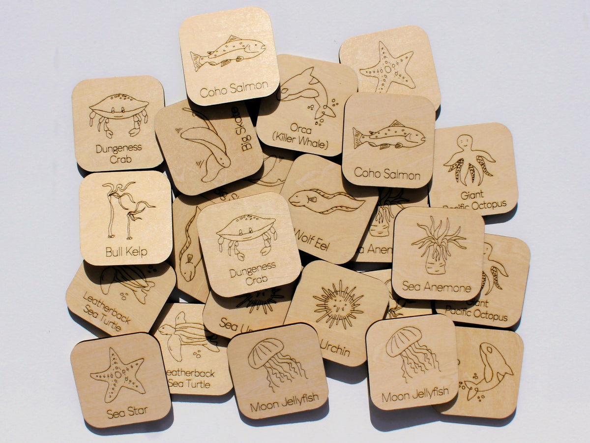 Marine Life of BC Matching Game | Wooden Ocean Animal Learning Game for Kids