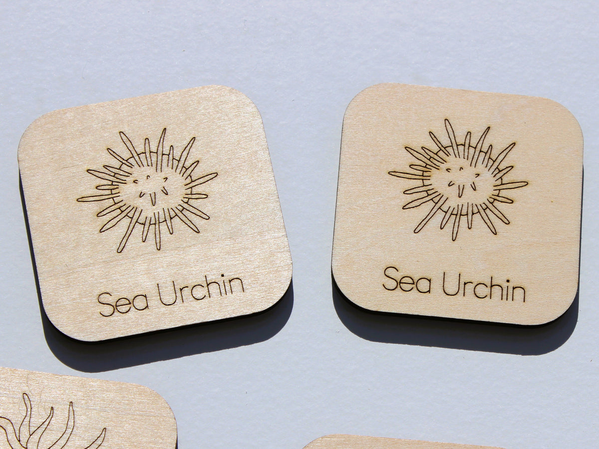 Marine Life of BC Matching Game | Wooden Ocean Animal Learning Game for Kids