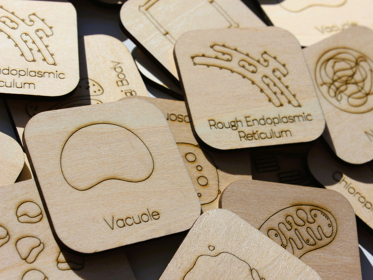 Parts of a Cell Matching Game | Wooden Cell Organelles & Biology Learning Game