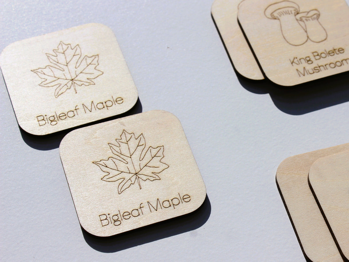 Plants & Fungi of BC Matching Game | Wooden Nature & Plant Learning Game for Kids