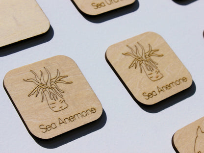 Marine Life of BC Matching Game | Wooden Ocean Animal Learning Game for Kids