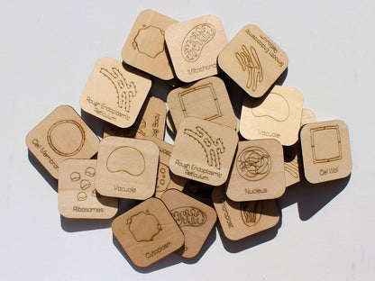 Parts of a Cell Matching Game | Wooden Cell Organelles & Biology Learning Game