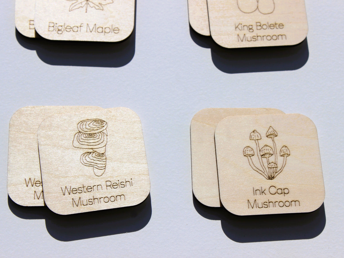 Plants & Fungi of BC Matching Game | Wooden Nature & Plant Learning Game for Kids