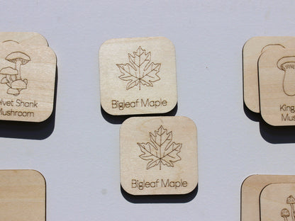 Plants & Fungi of BC Matching Game | Wooden Nature & Plant Learning Game for Kids