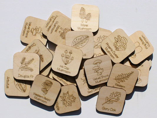Plants & Fungi of BC Matching Game | Wooden Nature & Plant Learning Game for Kids