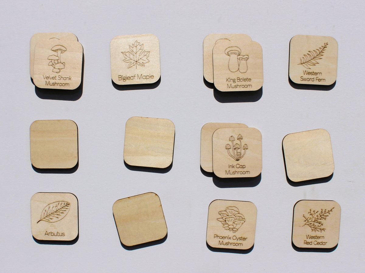 Plants & Fungi of BC Matching Game | Wooden Nature & Plant Learning Game for Kids