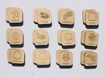 Parts of a Cell Matching Game | Wooden Cell Organelles & Biology Learning Game