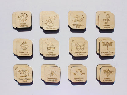 Creepy Crawlies of BC Matching Game | Wooden Insects, Spiders & Wildlife Learning Game for Kids
