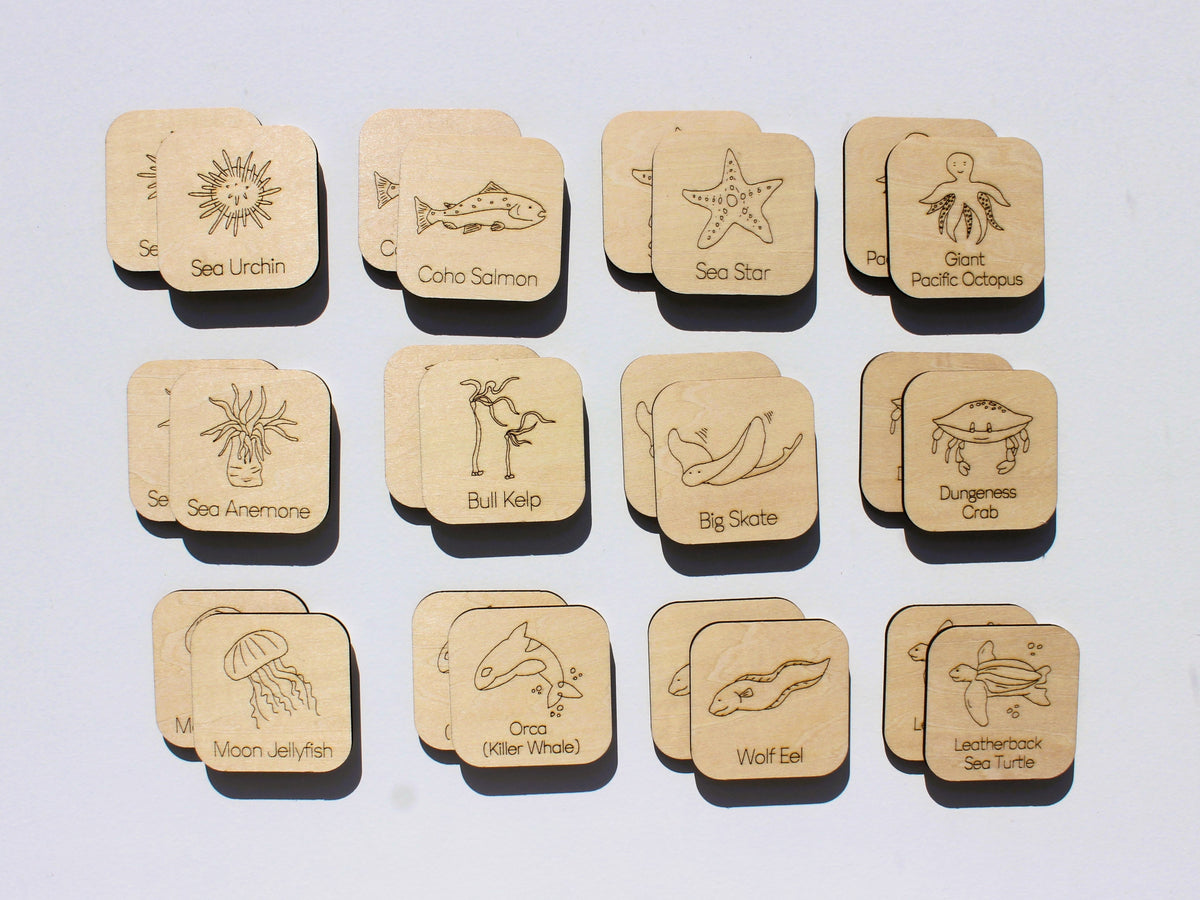 Marine Life of BC Matching Game | Wooden Ocean Animal Learning Game for Kids