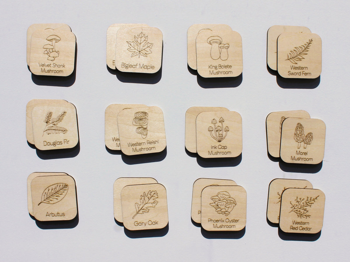 Plants & Fungi of BC Matching Game | Wooden Nature & Plant Learning Game for Kids